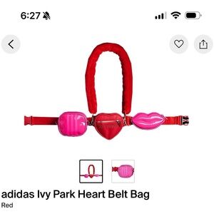 Ivy park bag!